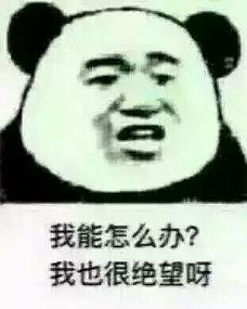 index.jpg